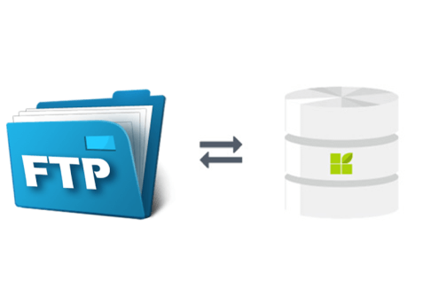 FTP Client